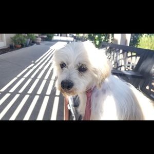 Meet your Posher, Micaela